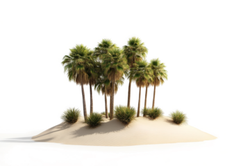 three palm trees in the desert cutout image and isolated on transparent background 