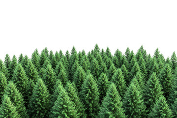a row of evergreen trees cutout image and isolated on transparent background 