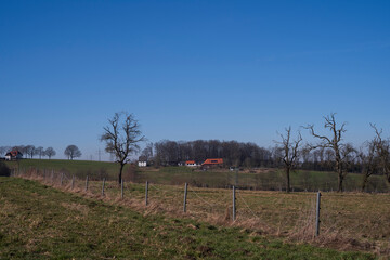 A fenced in field with trees and a house in the distance.  A blue sky above a tree