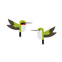 Ruby Throated Hummingbirds mid century modern 