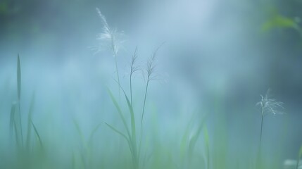 Modern Empty Home Office Room Interior With Blank Wall, Computer, Table, Bookshelf Mockup Frame -Ai