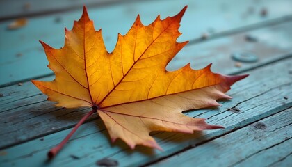 Yellow-orange maple leaf on weathered blue wood