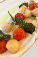 Fried Portuguese scallops in white wine sauce with lemon, tomatoes and toast. Seafood.