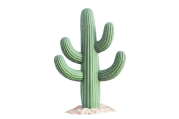 a green cactus plant with a white background cutout image and isolated on transparent background 