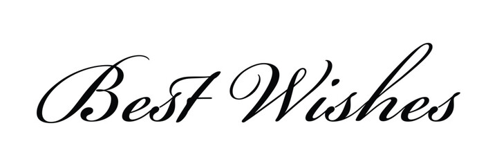 BEST WISHES hand lettering, vector illustration. Positive calligraphy message. Vector Illustration . 