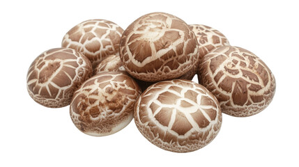 Obraz premium Shiitake mushroom isolated on white background