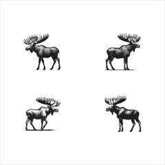 Set of deer silhouettes in various poses and styles, including reindeer, stag, and elk, perfect for nature, wildlife, and hunting illustrations