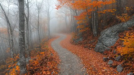 Winding Autumn Trail Through a Misty Forest Landscape with Orange Leaves