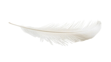Obraz premium Single White Feather Light Soft Fluffy Airy Delicate Nature Texture Background De