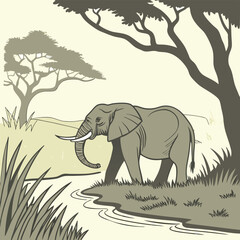 African Elephant at Waterhole – Chobe National Park, Botswana Wildlife