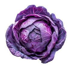 Obraz premium Ripe Whole Cabbage Isolated on Transparent background with Intricate Leaf Patterns and Vibrant Colors