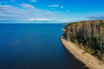 Aerial view of the coastline of the Gulf of Finland. Sandy coast and forest belt. Treetops, blue sky.
