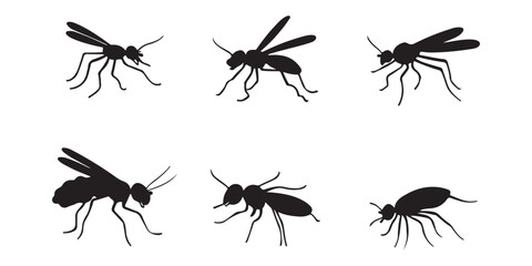 Identifying common household pests vector illustration for pest control and entomology studies guide