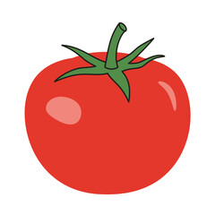 Flat Color Vector Set of Fresh Fruits and Vegetables on White Background