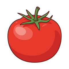 Flat Color Vector Set of Fresh Fruits and Vegetables on White Background