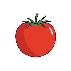 Flat Color Vector Set of Fresh Fruits and Vegetables on White Background