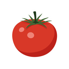 Flat Color Vector Set of Fresh Fruits and Vegetables on White Background