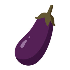 Flat Color Vector Set of Fresh Fruits and Vegetables on White Background