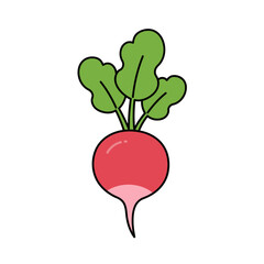 Flat Color Vector Set of Fresh Fruits and Vegetables on White Background