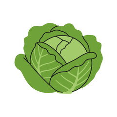 Flat Color Vector Set of Fresh Fruits and Vegetables on White Background