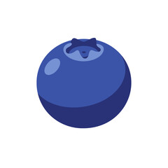 Flat Color Vector Set of Fresh Fruits and Vegetables on White Background