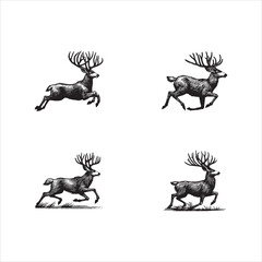 Silhouettes of deer and fantasy creatures like dragons, horses, and Pegasus in black, wild design