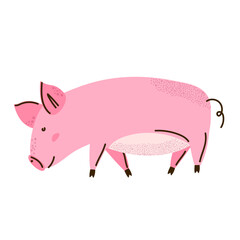Pink pig with curly tail. The pig is walking with its head lowered. Farm animal