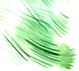 Obraz premium Watercolor green monochrome texture with dynamic marks - stripes from the brush. Abstract watercolor background. Illustration.