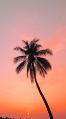 Sunset sky tree silhouette outdoors.