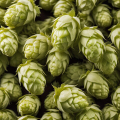 Fototapeta premium Hop buds. Plant close-up, texture. Raw material for brewing