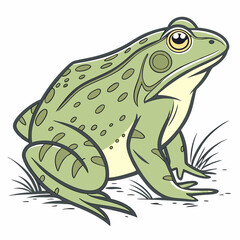 Fototapeta premium Frog Illustration: A detailed illustration of a frog sitting in a grassy environment.