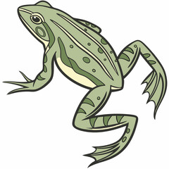Fototapeta premium Leaping Frog: An illustrated frog leaps gracefully across a bright background, capturing its dynamic movement and distinct features.