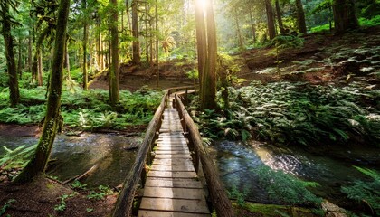 Fototapeta premium Lush green forest with sunlight filtering through dense foliage, a small wooden bridge over a stream