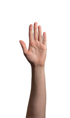 Obraz premium Female hand raised with an open palm, symbolizing a stop gesture, greeting, or attention signal. Natural wrist position with fingers extended. Isolated on white background