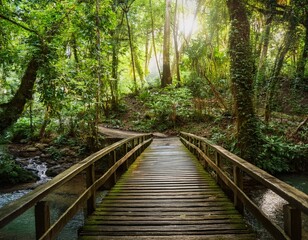 Lush green forest with sunlight filtering through dense foliage, a small wooden bridge over a stream