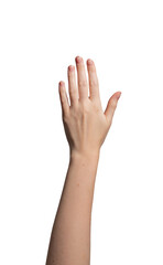 Female hand raised with an open palm, symbolizing a stop gesture, greeting, or waving, back dorsal...