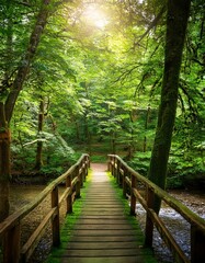 Obraz premium Lush green forest with sunlight filtering through dense foliage, a small wooden bridge over a stream