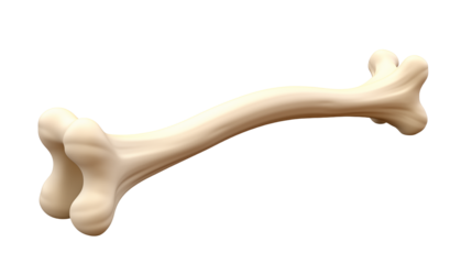 A single bone with two rounded ends is isolated against a plain black background in a studio shotisolated on transparent background	