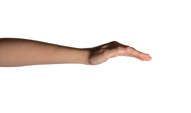 Hand in a cupped shape with fingers gently curled, symbolizing care, covering, or holding. Natural curved posture with a relaxed position. Isolated on white background..