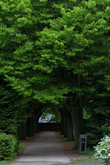 The tranquil and serene atmosphere of Assistens Cemetery in Copenhagen, Denmark, where famed Danish...
