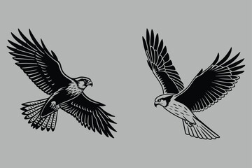 a falcon diving for its prey silhouette vector design art and illustration