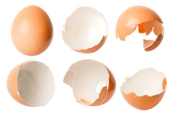 broken eggshell isolated on white background PNG. GENERATIVE AI