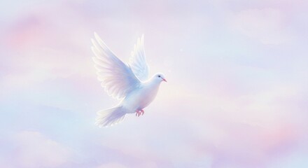 Fototapeta premium Serene White Dove in Flight Peaceful Pastel Sky Spiritual Symbol Hope Freedom