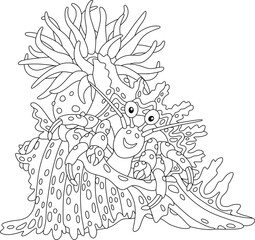 Hermit crab in a fancy shell with a poisonous actinia on a tropical reef in a southern sea, black and white outline vector cartoon illustration for a coloring book page