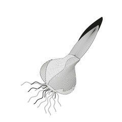 sprouted bulb of a plant black and white vector illustration