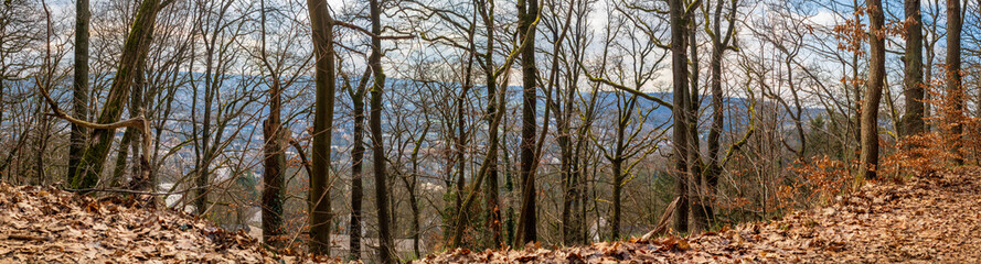Superpanorama Blick durch Bäume in die Stadt nach unten