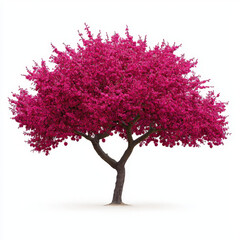 Obraz premium Vibrant tree covered in beautiful pink flowers offering a lush display of natural beauty and color ideal for nature photography and scenic outdoor exploration in spring