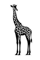 Obraz premium Black and white Standing Giraffe vector style illustration isolated on white background