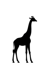 Fototapeta premium Black Silhouette of a Standing Giraffe vector style illustration isolated on white background