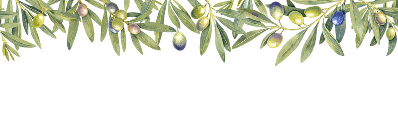 Watercolor green purple olives branch border. Hand painted floral illustration olive fruit, tree branches, leaves isolated background frame. Drawings food. Edible foliage. For menu wrapping card gift © Nataliia
